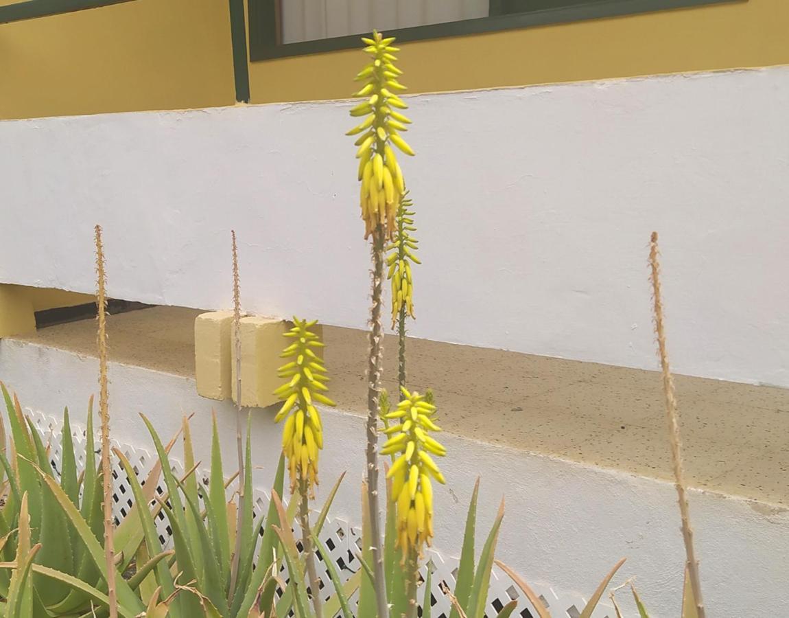 Caroni Appartement Playa del Inglés Buitenkant foto
